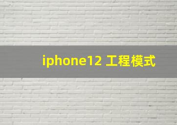 iphone12 工程模式